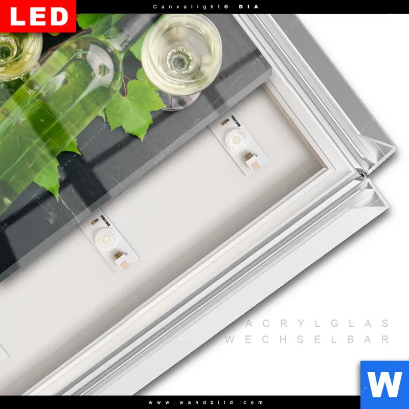 Leuchtbild Acrylglas Canvalight® DIA | Trauben | Wein | Tradition | Quadrat