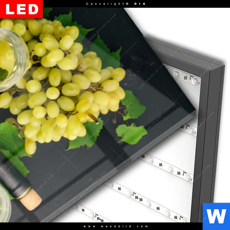 Wechselmotiv Acrylglas Canvalight® DIA | Trauben | Wein | Tradition | Schmal