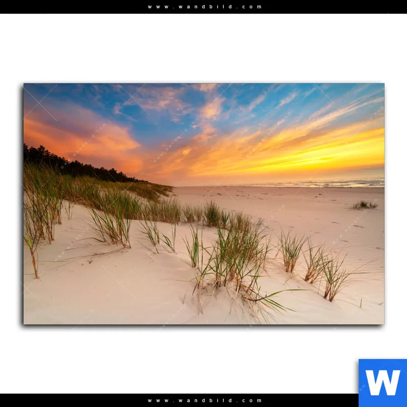 Alu-Dibond Bild | Abendlicht an der Küste | Querformat