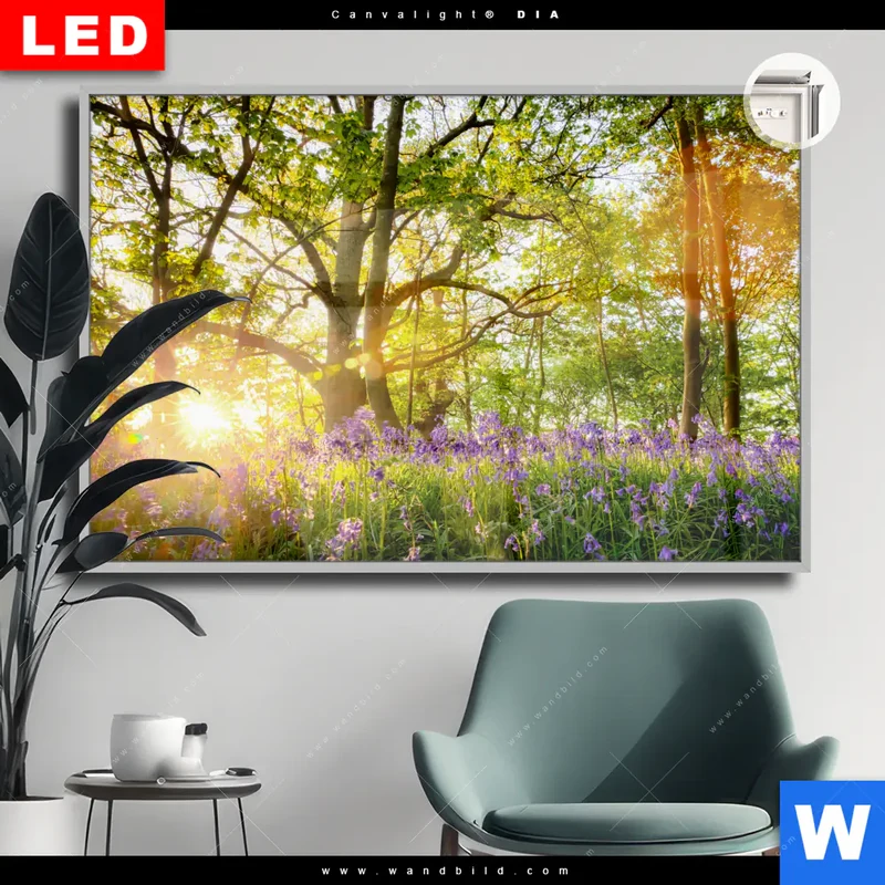 Leuchtbild Acrylglas Canvalight® DIA | Frühlingserwachen zwischen Bäumen | Querformat