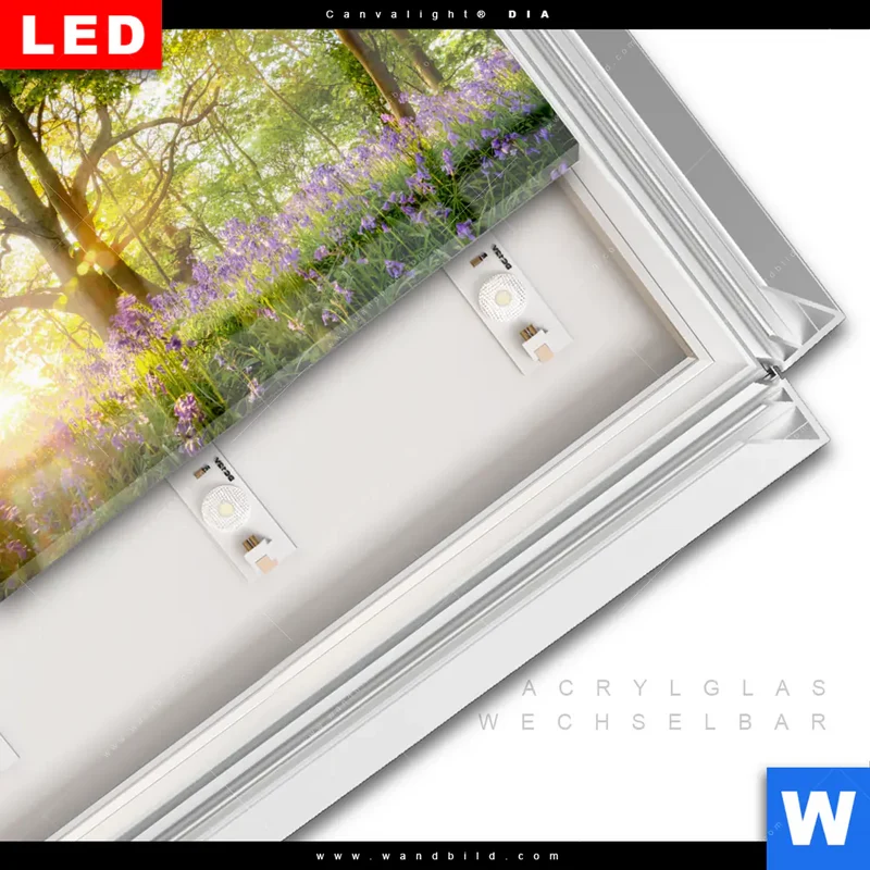Leuchtbild Acrylglas Canvalight® DIA | Frühlingserwachen zwischen Bäumen | Querformat