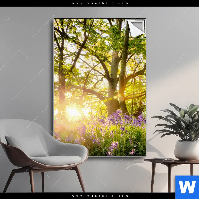Spannbild | Frühlingserwachen zwischen Bäumen | Hochformat