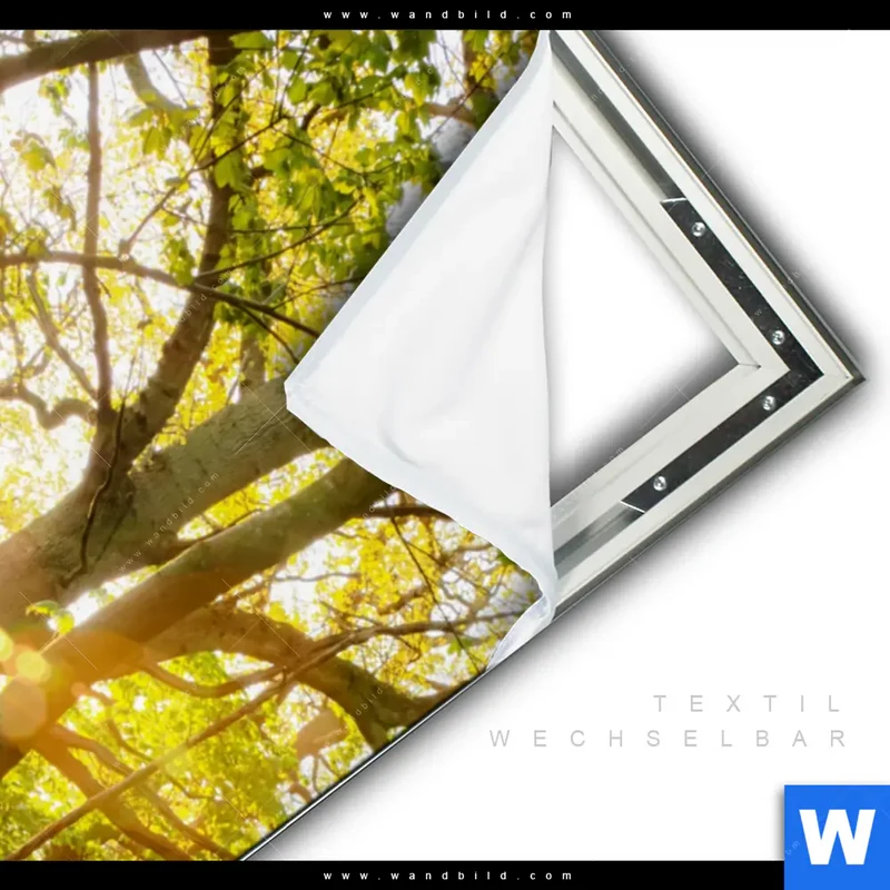 Spannbild | Frühlingserwachen zwischen Bäumen | Hochformat