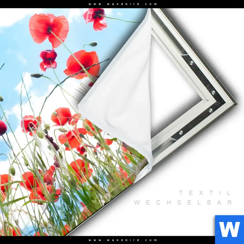 Spannbild | Mohnblüten unter sommerlichem Himmel | Quadrat