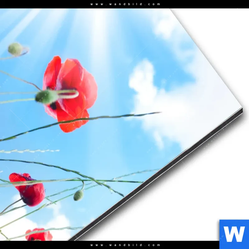 Alu-Dibond Bild | Mohnblüten unter sommerlichem Himmel | Hochformat