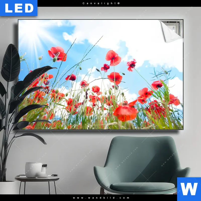 Canvalight® Leuchtbild | Mohnblüten unter sommerlichem Himmel | Querformat