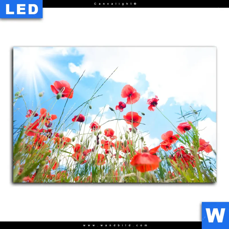 Canvalight® Leuchtbild | Mohnblüten unter sommerlichem Himmel | Querformat