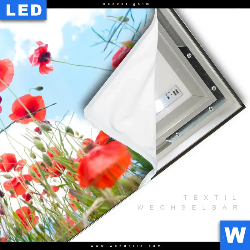 Canvalight® Leuchtbild | Mohnblüten unter sommerlichem Himmel | Querformat