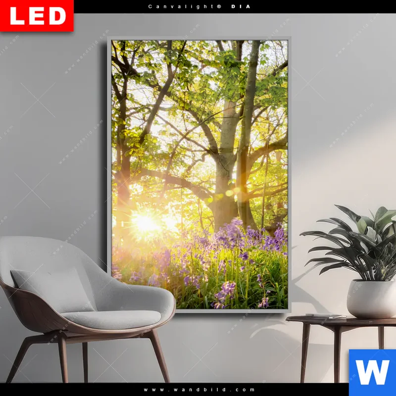 Wechselmotiv Acrylglas Canvalight® DIA | Frühlingserwachen zwischen Bäumen | Hochformat