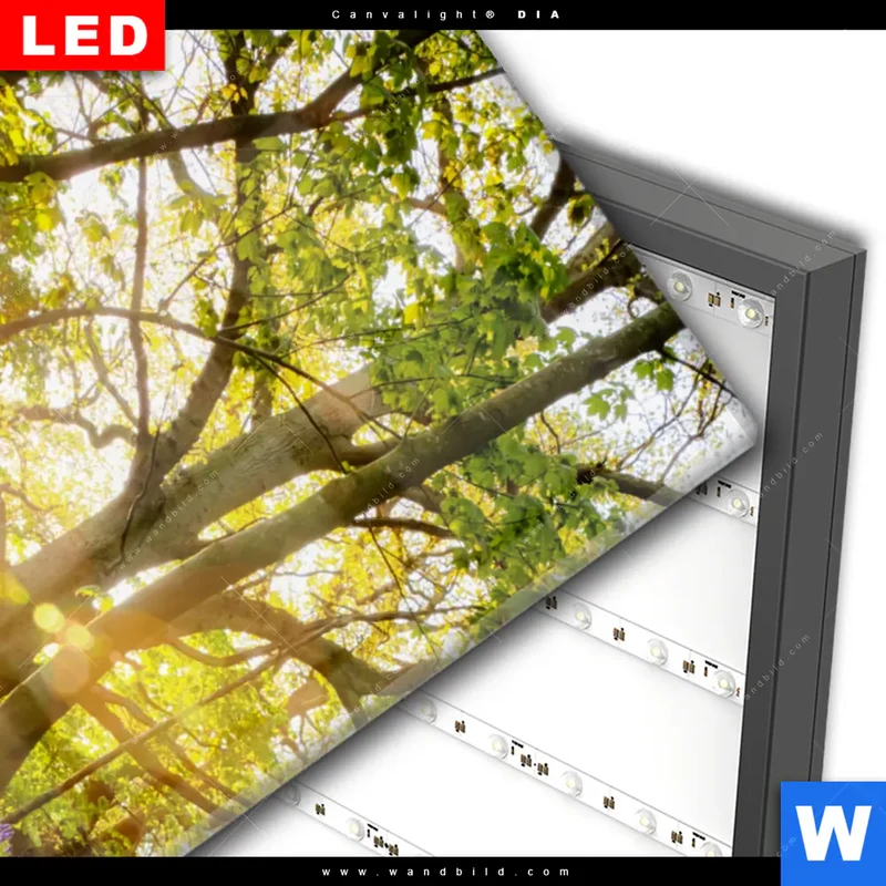 Wechselmotiv Acrylglas Canvalight® DIA | Frühlingserwachen zwischen Bäumen | Hochformat
