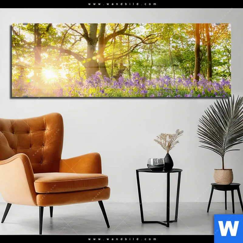 Acrylglasbild | Frühlingserwachen zwischen Bäumen | Panorama