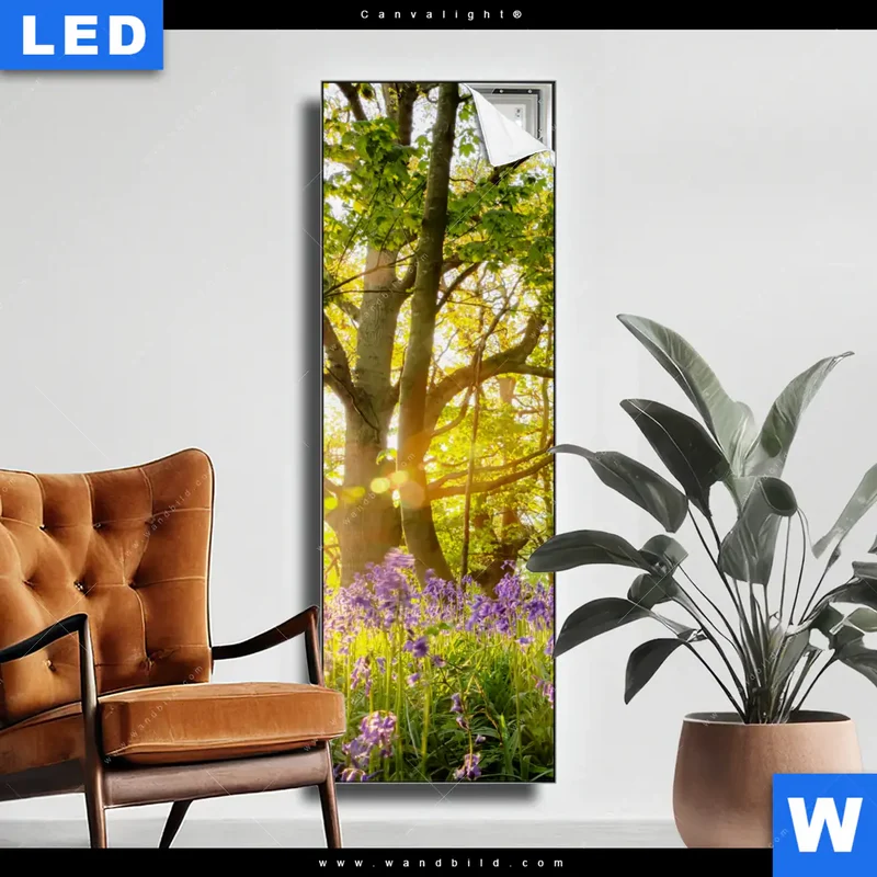 Canvalight® Leuchtbild | Frühlingserwachen zwischen Bäumen | Schmal