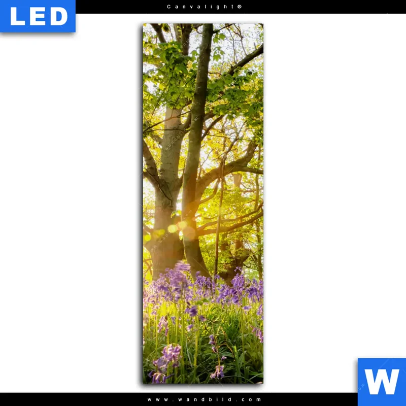 Canvalight® Leuchtbild | Frühlingserwachen zwischen Bäumen | Schmal