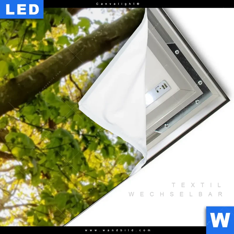 Canvalight® Leuchtbild | Frühlingserwachen zwischen Bäumen | Schmal