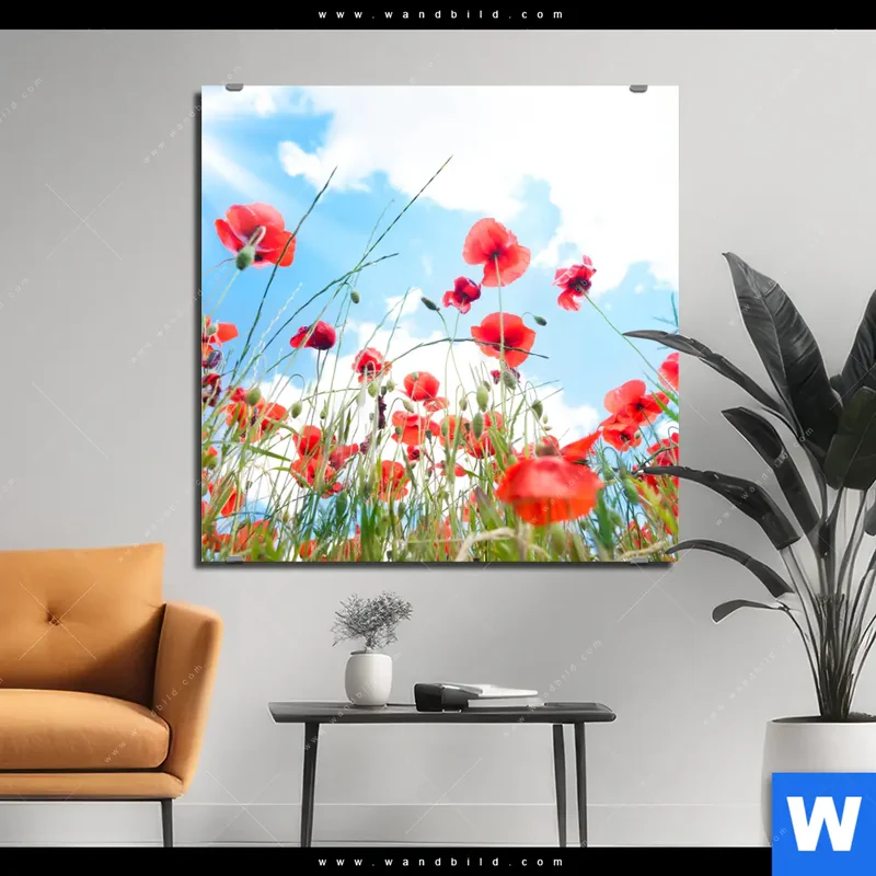 Aluminiumbild gebürstet | Mohnblüten unter sommerlichem Himmel | Quadrat