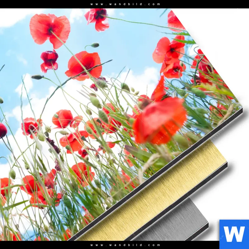 Aluminiumbild gebürstet | Mohnblüten unter sommerlichem Himmel | Quadrat