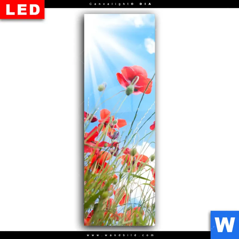 Wechselmotiv Acrylglas Canvalight® DIA | Mohnblüten unter sommerlichem Himmel | Schmal