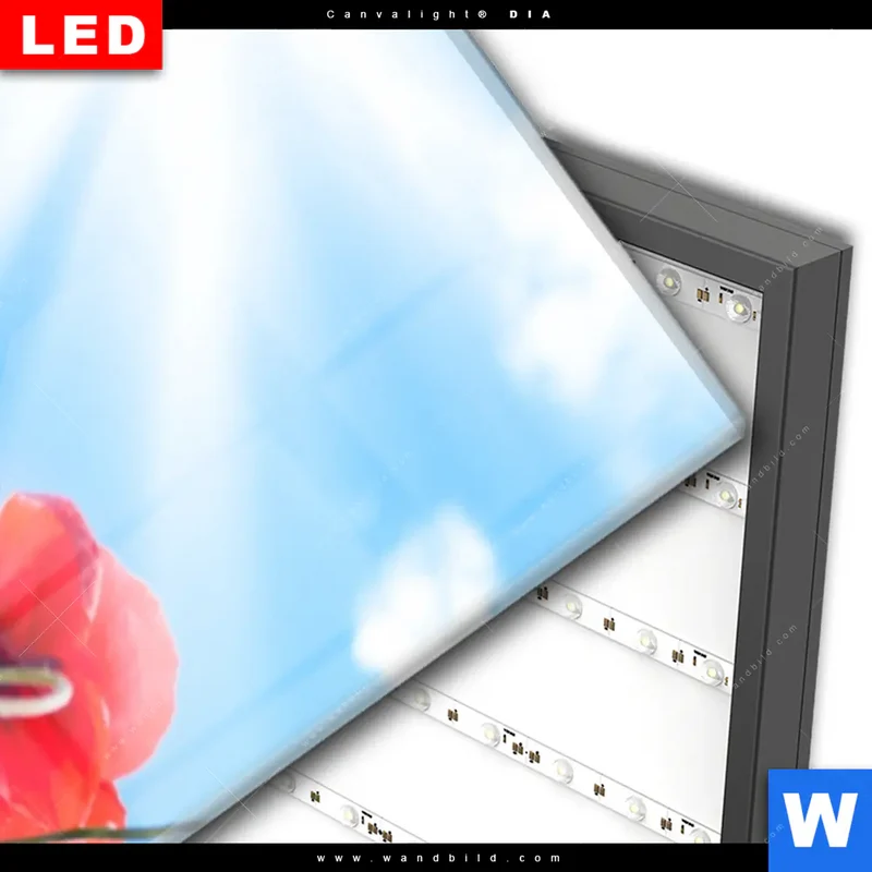 Wechselmotiv Acrylglas Canvalight® DIA | Mohnblüten unter sommerlichem Himmel | Schmal