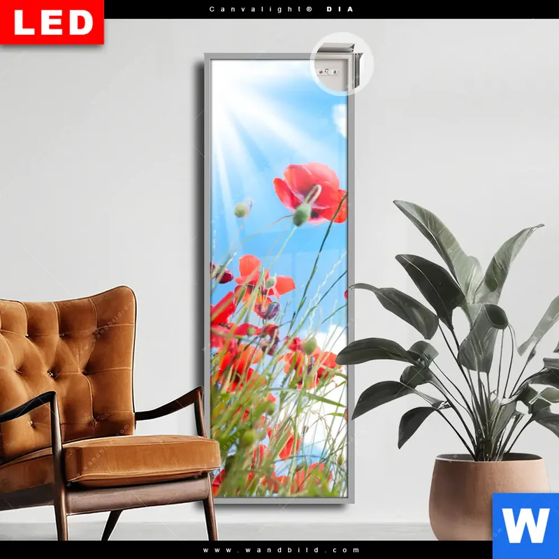 Leuchtbild Acrylglas Canvalight® DIA | Mohnblüten unter sommerlichem Himmel | Schmal
