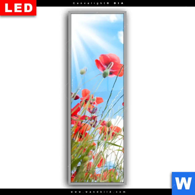 Leuchtbild Acrylglas Canvalight® DIA | Mohnblüten unter sommerlichem Himmel | Schmal