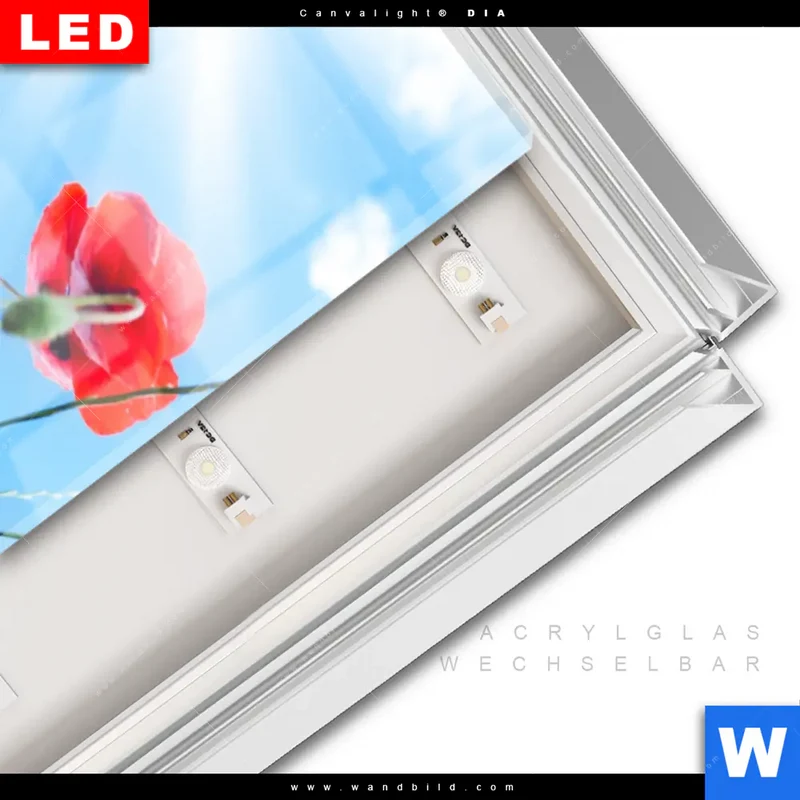 Leuchtbild Acrylglas Canvalight® DIA | Mohnblüten unter sommerlichem Himmel | Schmal