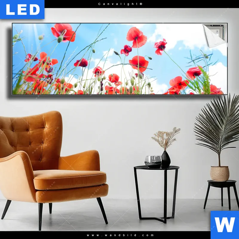 Canvalight® Leuchtbild | Mohnblüten unter sommerlichem Himmel | Panorama