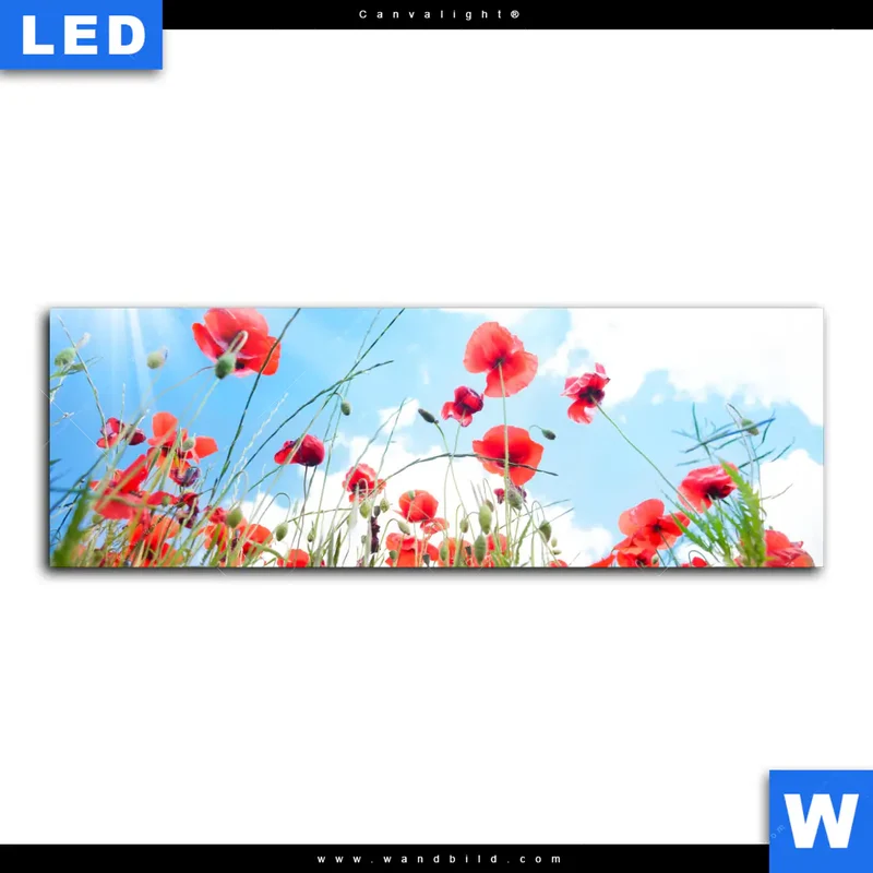 Canvalight® Leuchtbild | Mohnblüten unter sommerlichem Himmel | Panorama