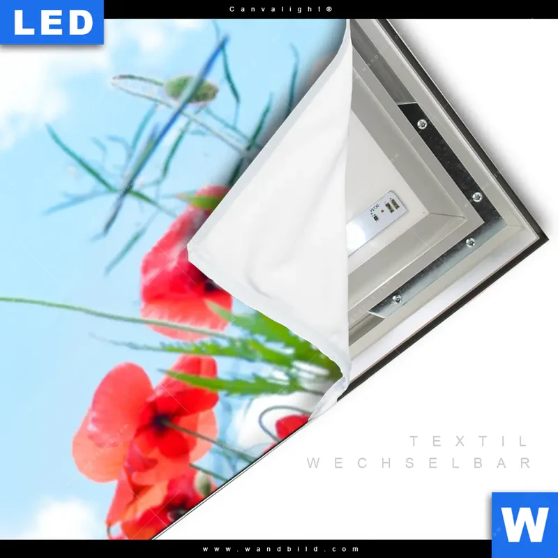 Canvalight® Leuchtbild | Mohnblüten unter sommerlichem Himmel | Panorama