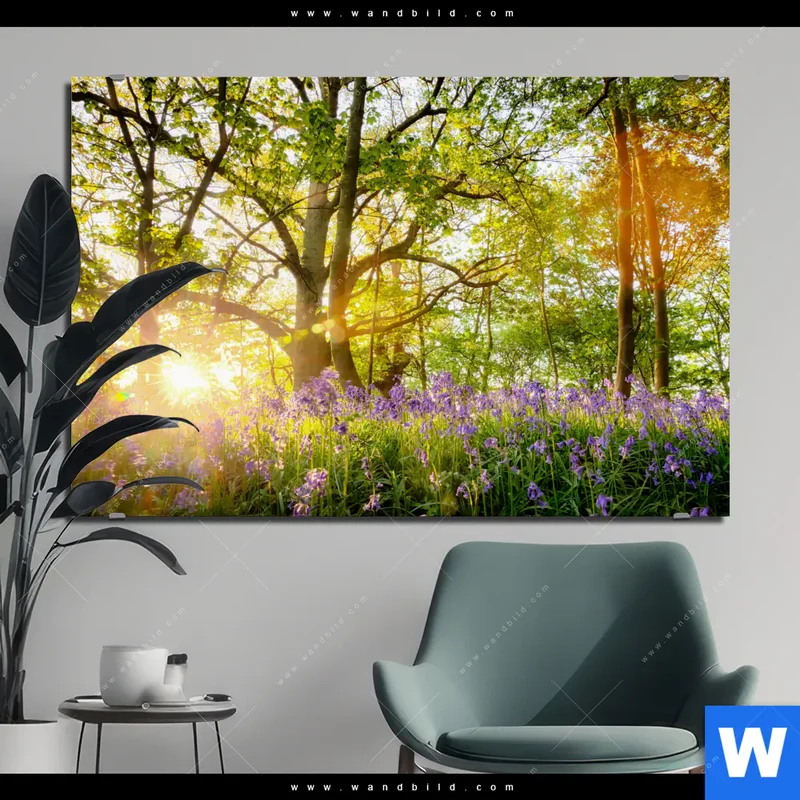 Alu-Dibond Bild | Frühlingserwachen zwischen Bäumen | Querformat