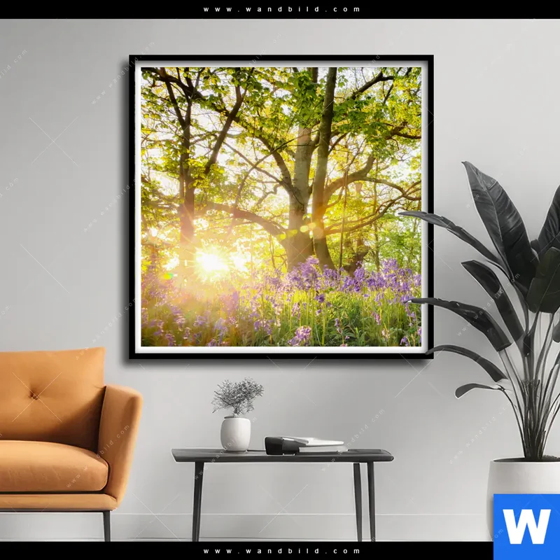 Poster | Frühlingserwachen zwischen Bäumen | Quadrat