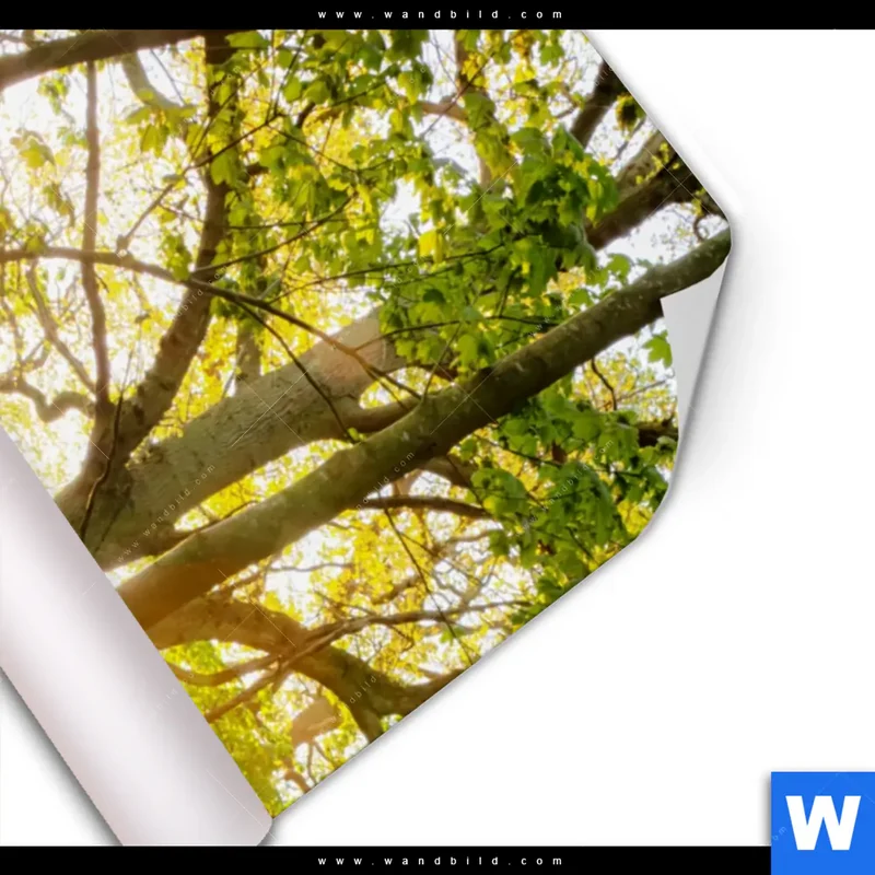 Poster | Frühlingserwachen zwischen Bäumen | Hochformat
