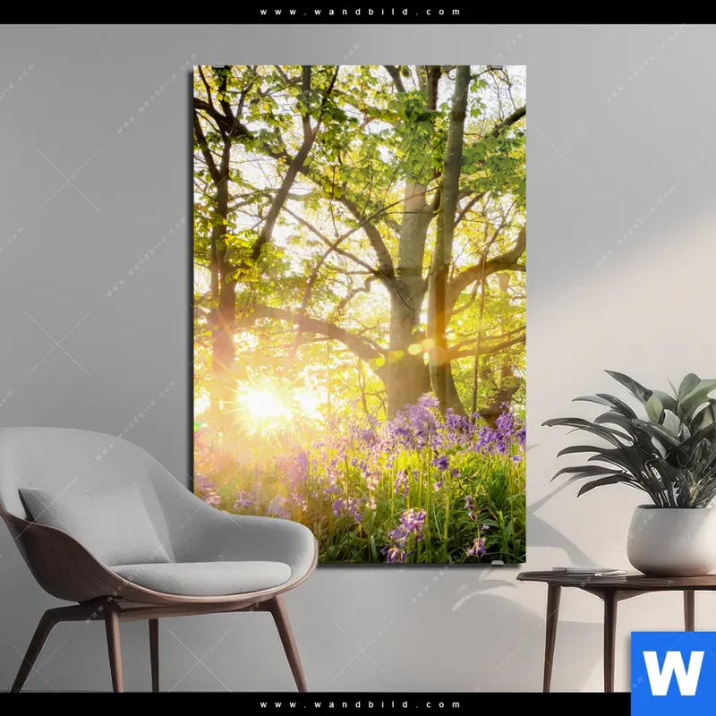 Acrylglasbild | Frühlingserwachen zwischen Bäumen | Hochformat