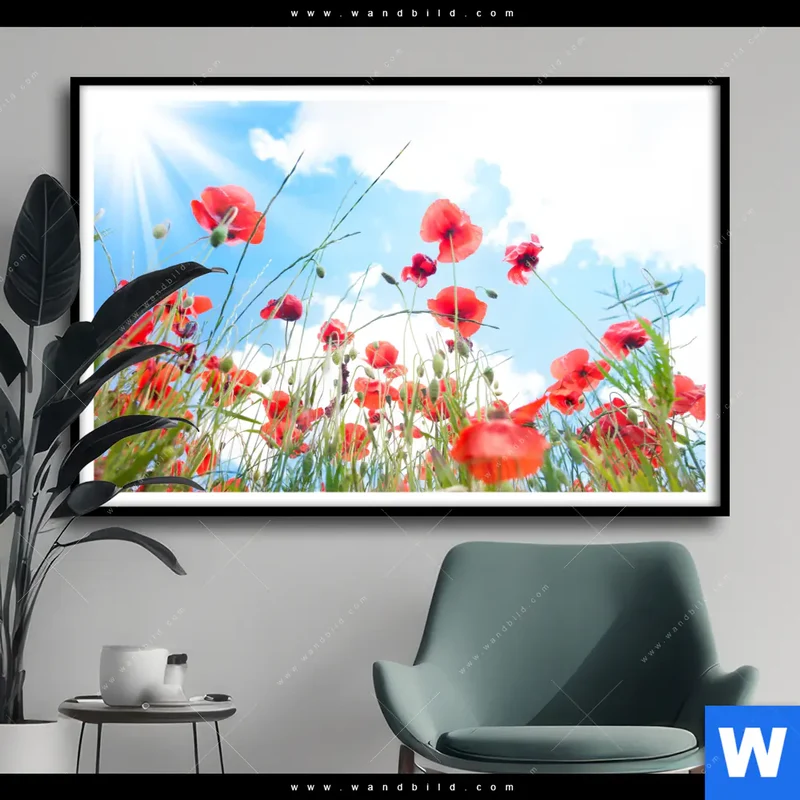 Poster | Mohnblüten unter sommerlichem Himmel | Querformat