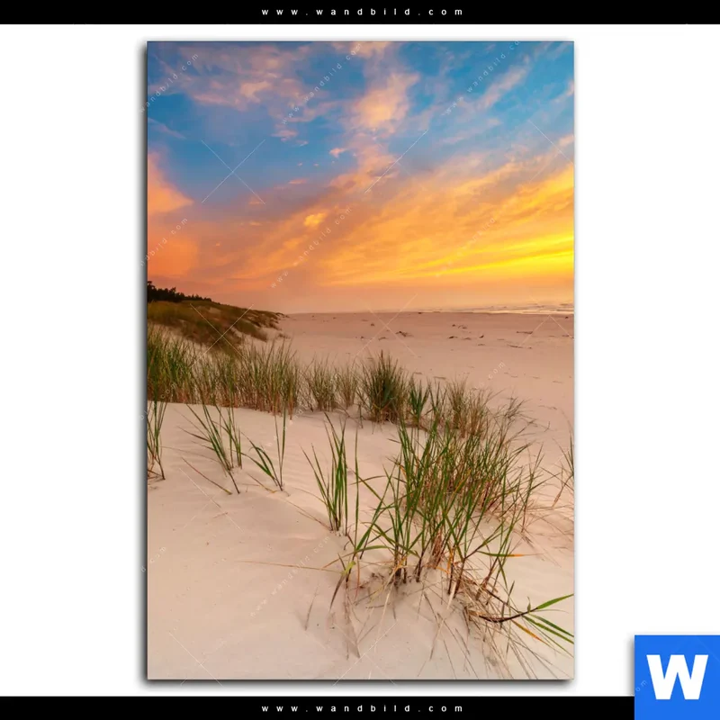 Aluminiumbild gebürstet | Abendlicht an der Küste | Hochformat