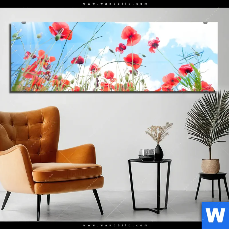 Acrylglasbild | Mohnblüten unter sommerlichem Himmel | Panorama