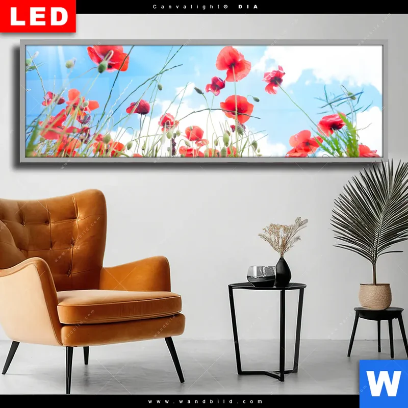 Wechselmotiv Acrylglas Canvalight® DIA | Mohnblüten unter sommerlichem Himmel | Panorama