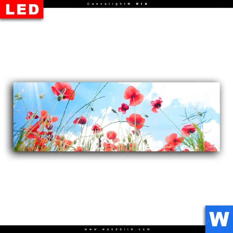 Wechselmotiv Acrylglas Canvalight® DIA | Mohnblüten unter sommerlichem Himmel | Panorama