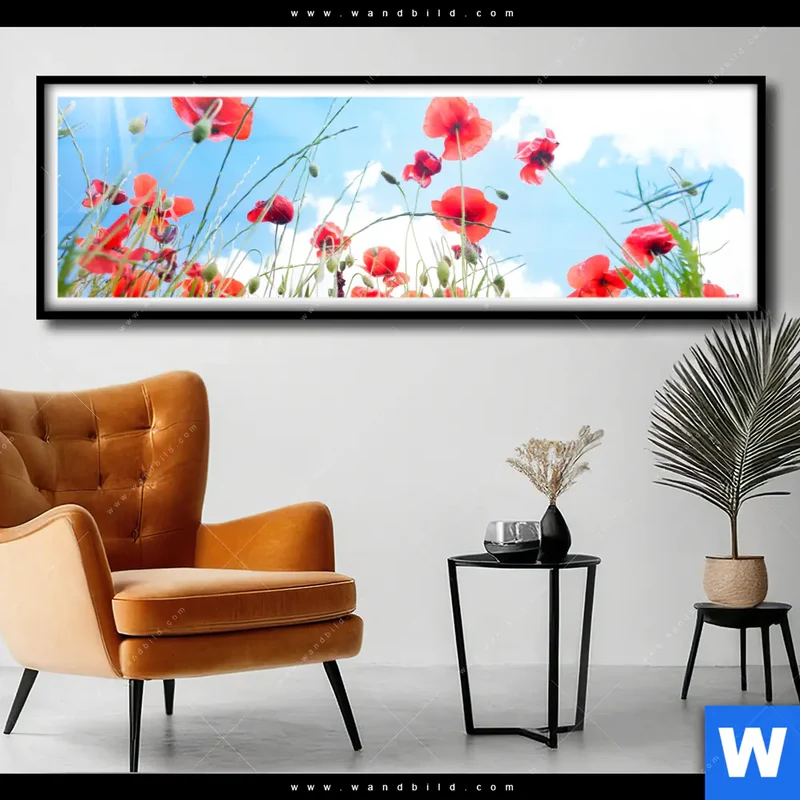 Poster | Mohnblüten unter sommerlichem Himmel | Panorama