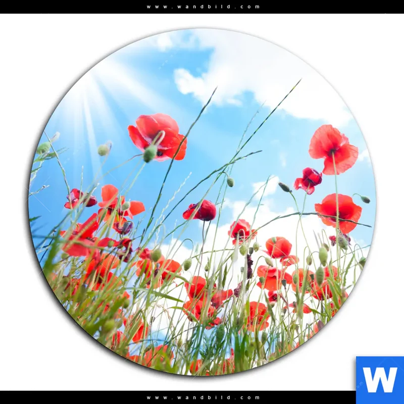 Acrylglasbild | Mohnblüten unter sommerlichem Himmel | Rund