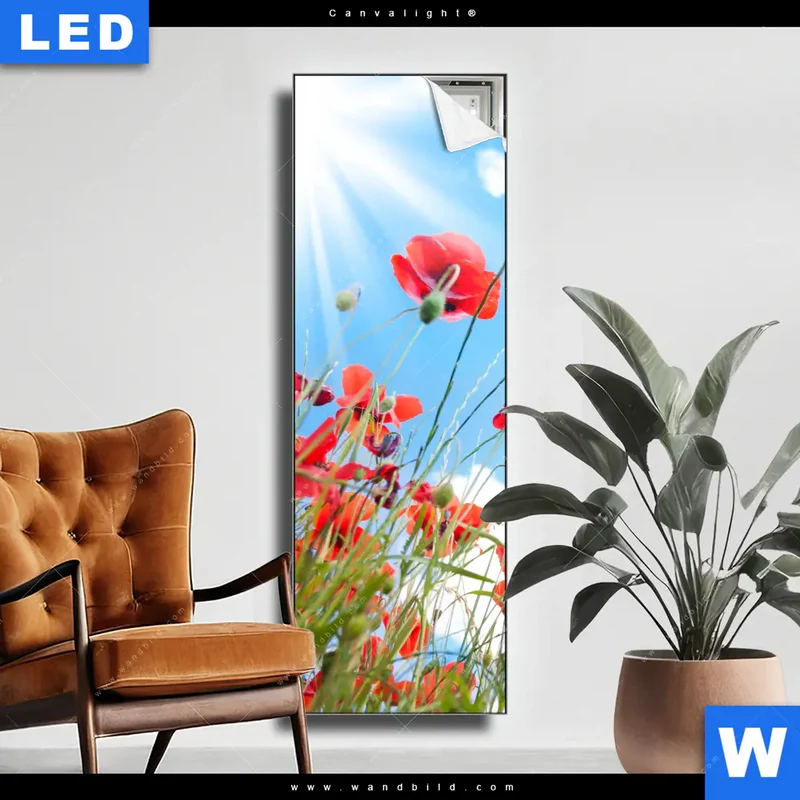 Canvalight® Leuchtbild | Mohnblüten unter sommerlichem Himmel | Schmal