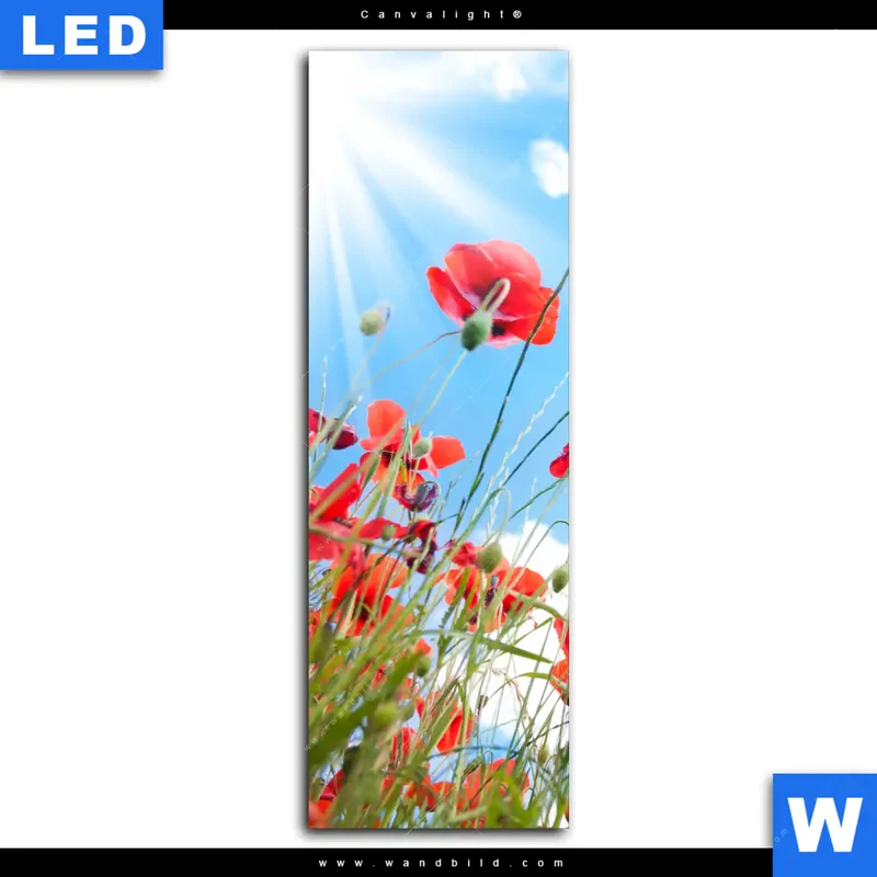 Canvalight® Leuchtbild | Mohnblüten unter sommerlichem Himmel | Schmal