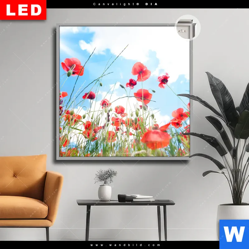 Leuchtbild Acrylglas Canvalight® DIA | Mohnblüten unter sommerlichem Himmel | Quadrat
