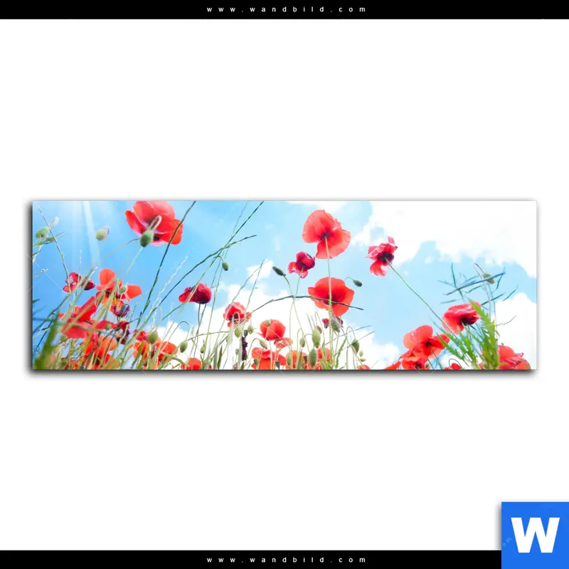 Leinwandbild | Mohnblüten unter sommerlichem Himmel | Panorama