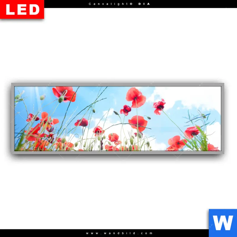 Leuchtbild Acrylglas Canvalight® DIA | Mohnblüten unter sommerlichem Himmel | Panorama