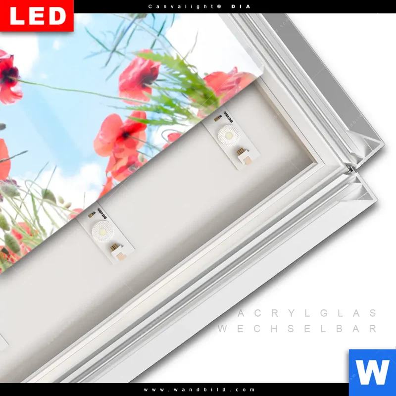 Leuchtbild Acrylglas Canvalight® DIA | Mohnblüten unter sommerlichem Himmel | Panorama