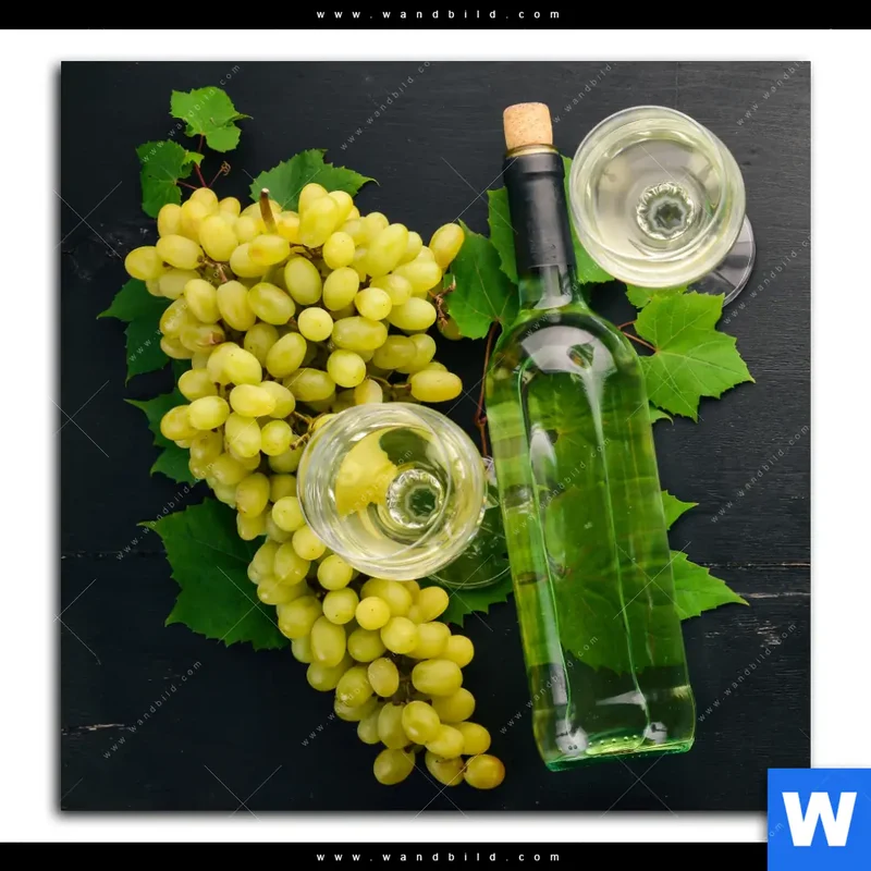 Alu-Dibond Bild | Trauben | Wein | Tradition | Quadrat