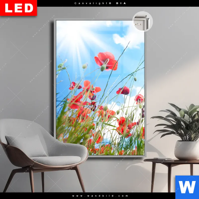 Leuchtbild Acrylglas Canvalight® DIA | Mohnblüten unter sommerlichem Himmel | Hochformat