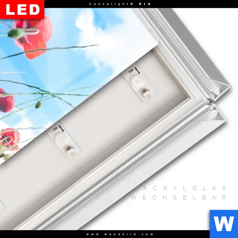 Leuchtbild Acrylglas Canvalight® DIA | Mohnblüten unter sommerlichem Himmel | Hochformat