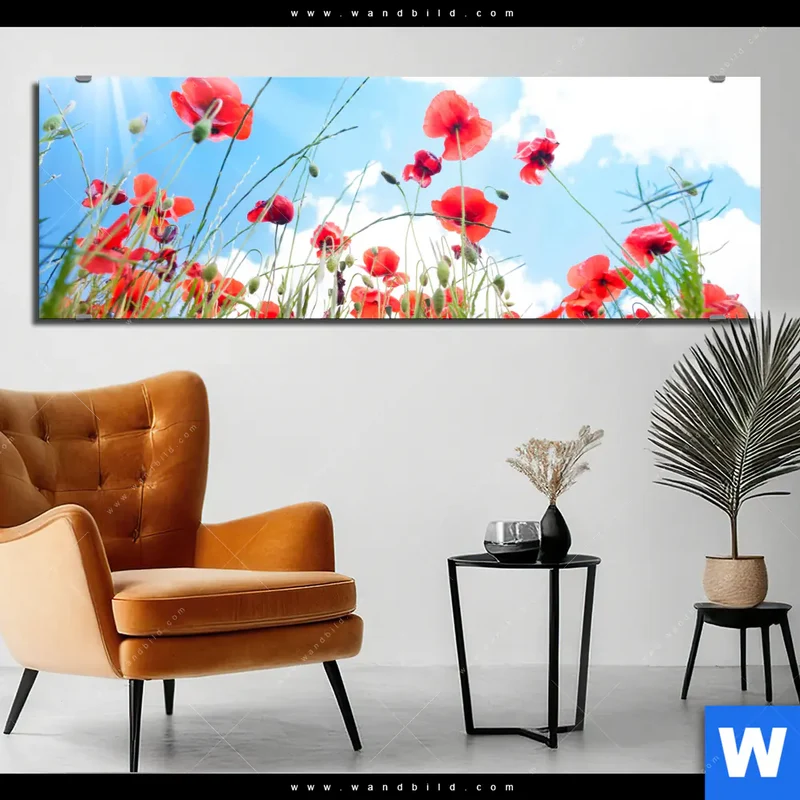 Aluminiumbild gebürstet | Mohnblüten unter sommerlichem Himmel | Panorama