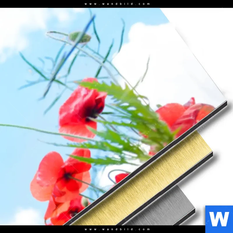 Aluminiumbild gebürstet | Mohnblüten unter sommerlichem Himmel | Panorama